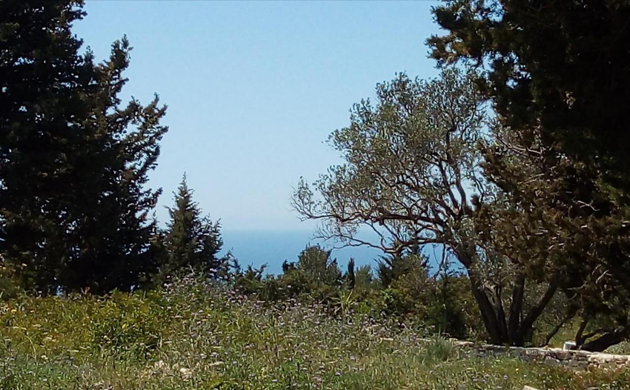 Villa Olive Garden, Kastanida - Paxoi Gaios Esterno foto