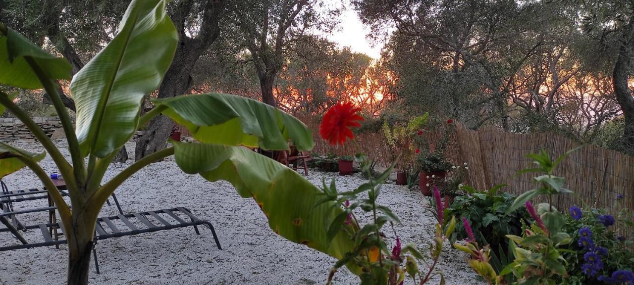 Villa Olive Garden, Kastanida - Paxoi Gaios Esterno foto