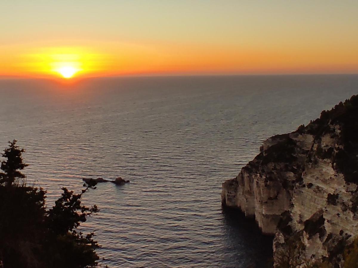 Villa Olive Garden, Kastanida - Paxoi Gaios Esterno foto