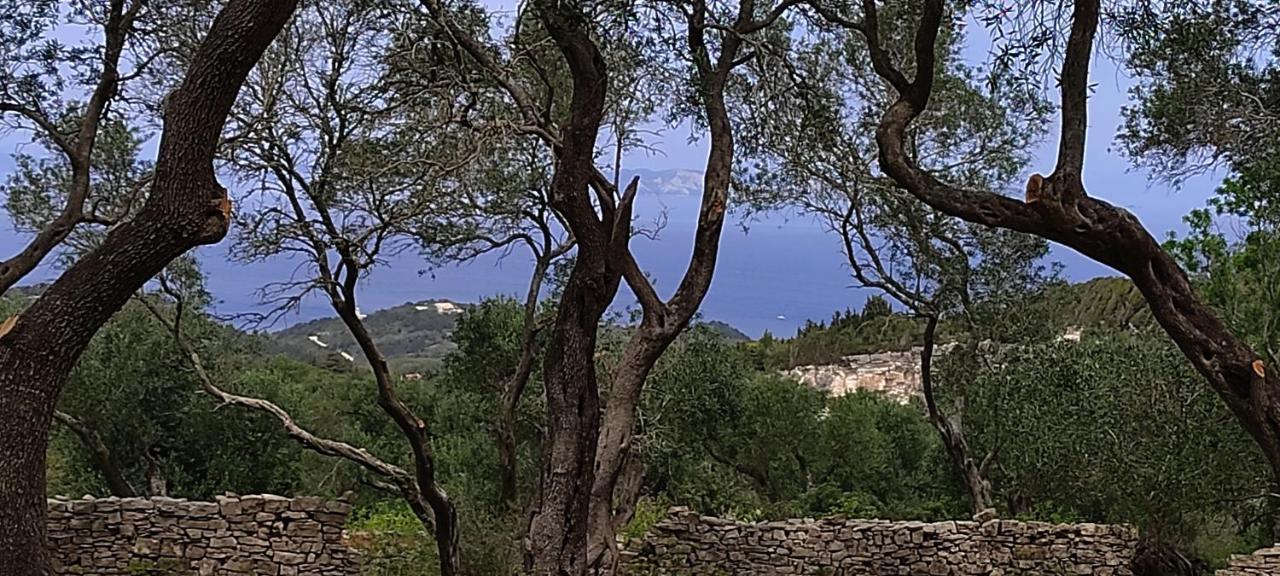 Villa Olive Garden, Kastanida - Paxoi Gaios Esterno foto