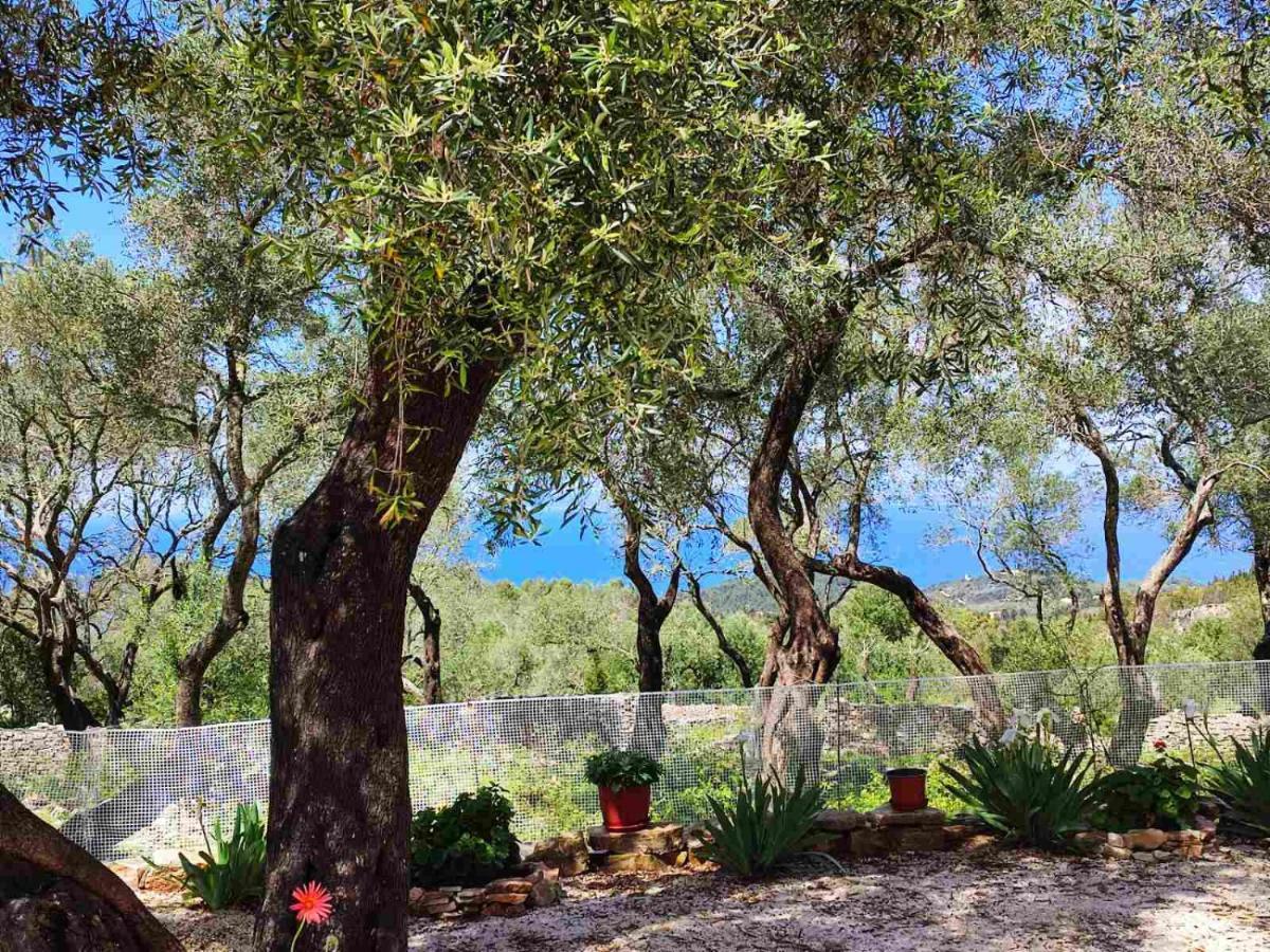 Villa Olive Garden, Kastanida - Paxoi Gaios Esterno foto