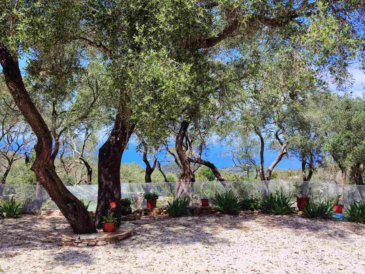 Villa Olive Garden, Kastanida - Paxoi Gaios Esterno foto