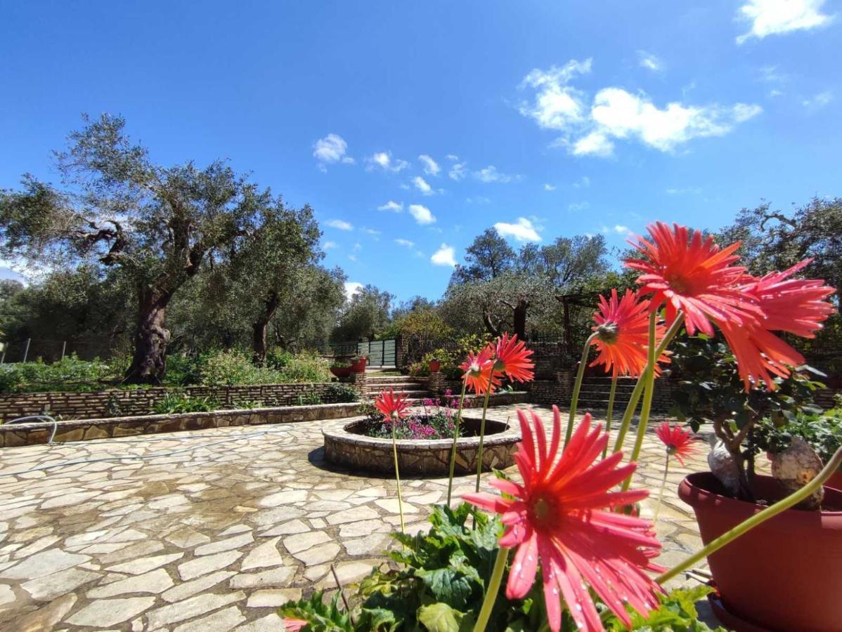 Villa Olive Garden, Kastanida - Paxoi Gaios Esterno foto